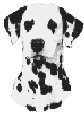 toutou